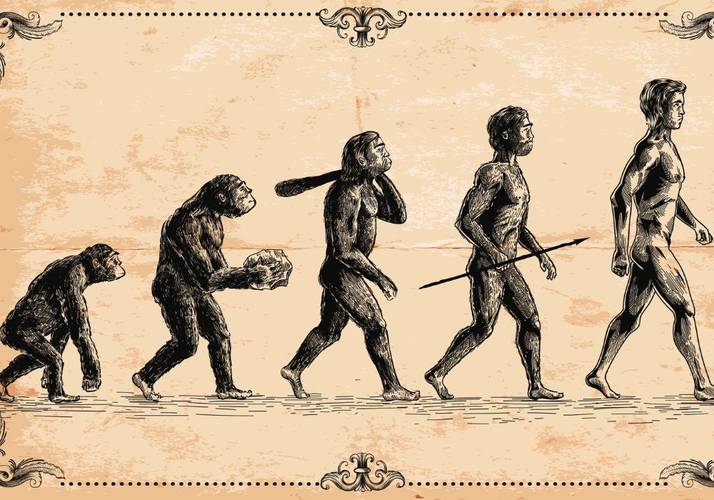 Home Sapiens