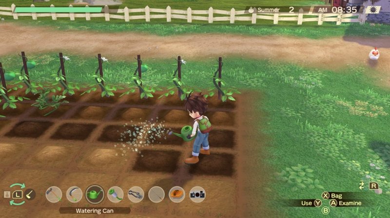 Story of Seasons: A Wonderful Life