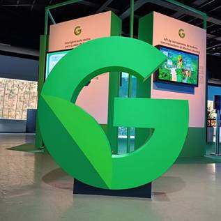 Imagem de Google: Busca agora traz detalhes de benefícios sociais, trabalho e vacinação
