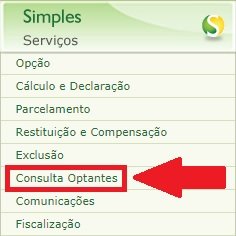 Clicando em "Consultas Optantes" você é redirecionado para uma outra página do site