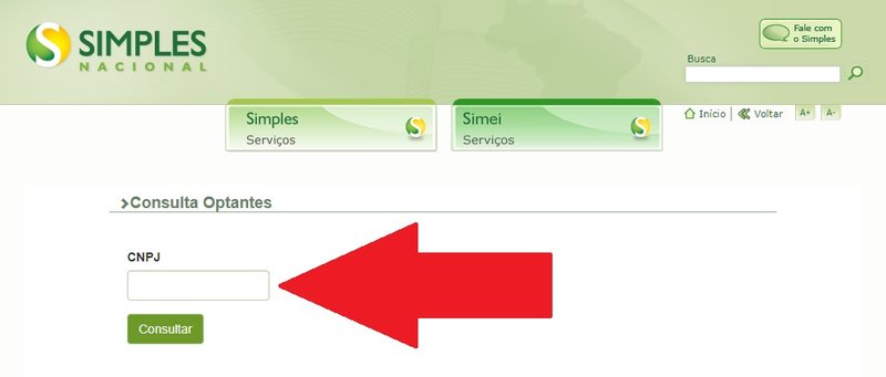Digite o CNPJ para fazer a consulta no site