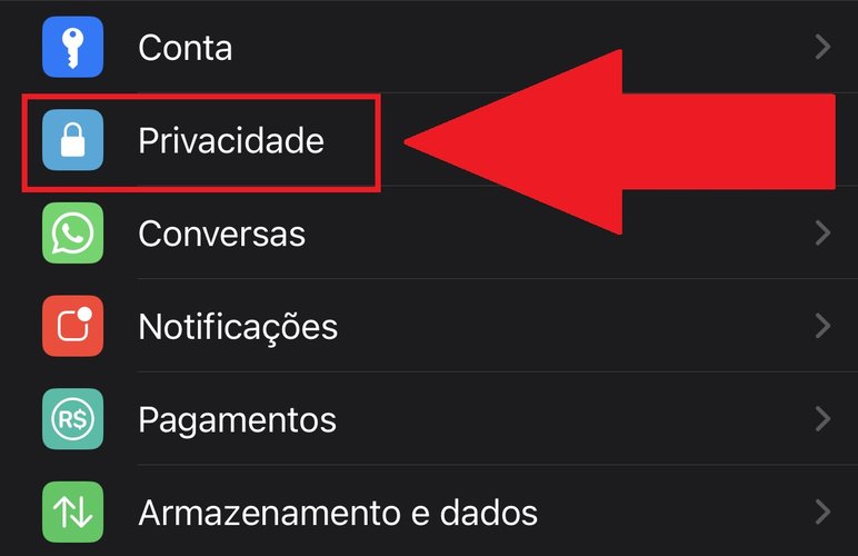 Procure pela opção privacidade