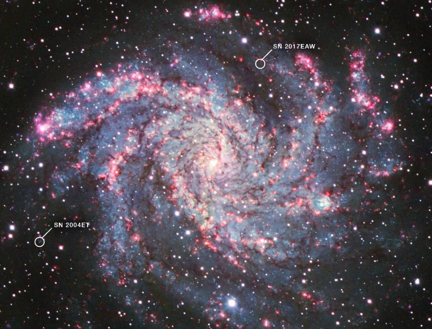Galáxia dos Fogos de Artifício (NGC 6946), onde estão localizadas as duas supernovas descobertas pelo James Webb.