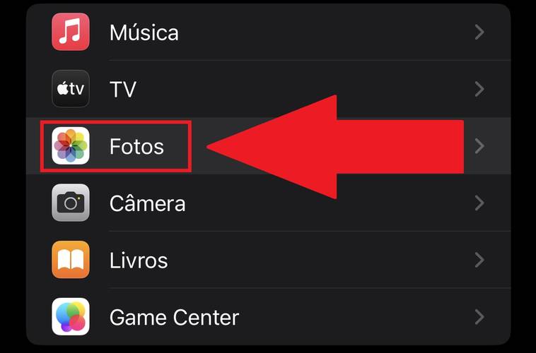 É preciso descer a tela para encontrar a opção 