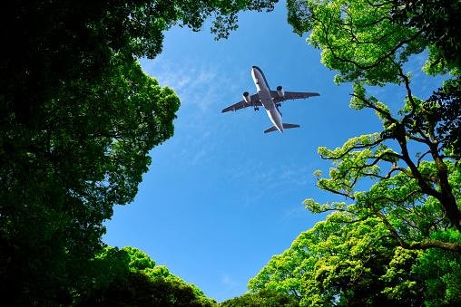 Os aviões movidos a hidrogênio e eletricidade não emitem gases de efeito estufa.