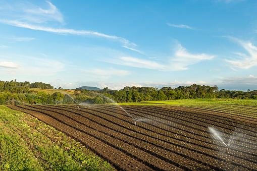 Existem inclusive, fertilizantes com elementos radioativos.