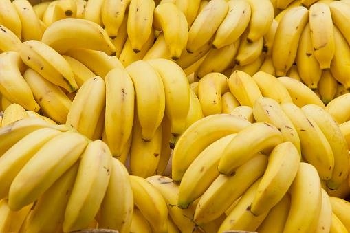 Bananas possuem potássio-40 e são capazes de ativar um contador contador geiger.