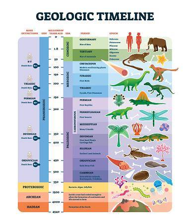 Anterior ao limite K-Pg é possível encontrar fósseis de dinossauros, e acima, após o evento, não são mais encontrados.