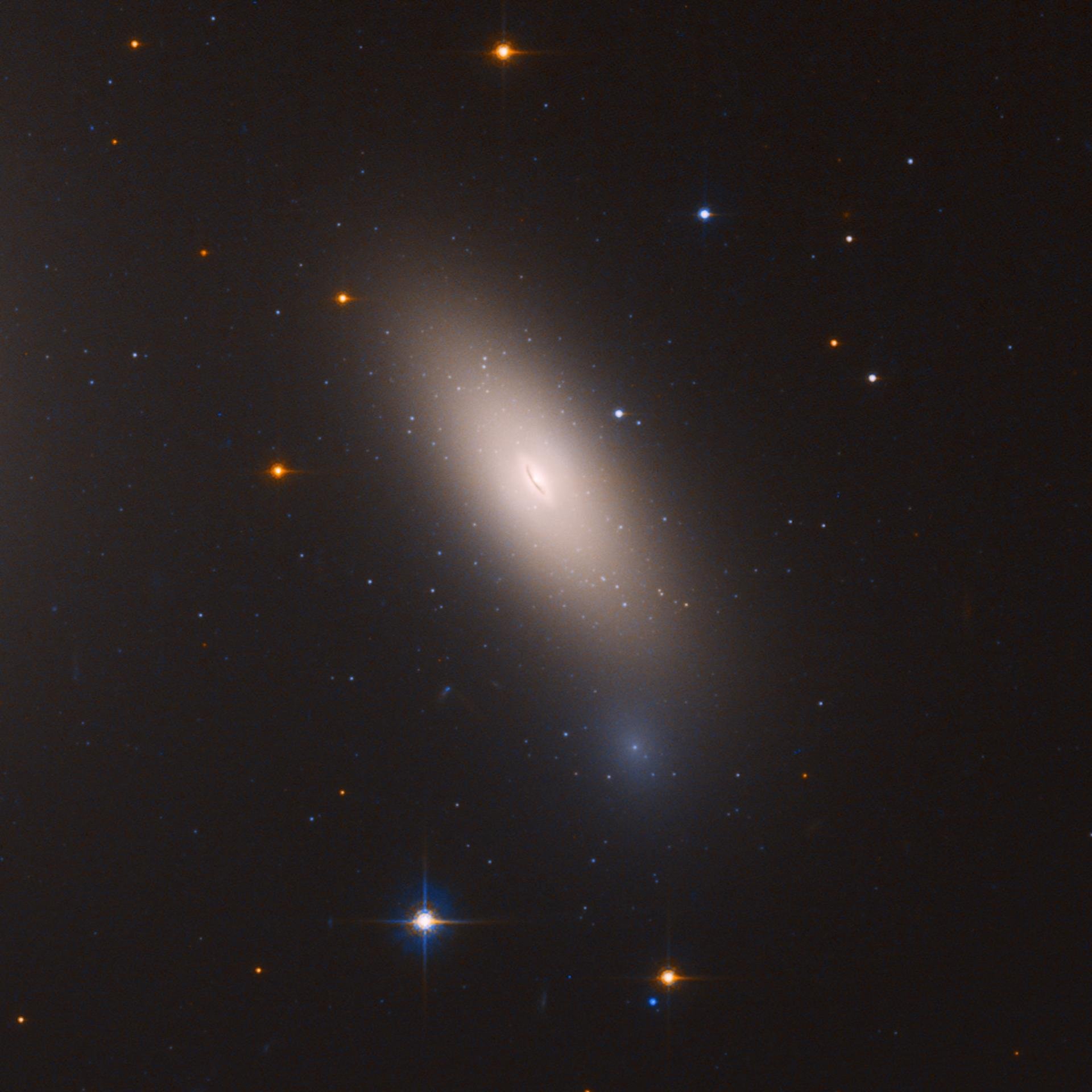 A galáxia-relíquia NGC 1277, livre de matéria escura.