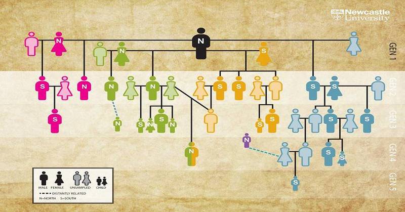 Cinco gerações puderam ser identificadas através do rastreio do DNA.
