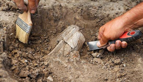 Como exames de DNA podem ser ferramenta na arqueologia?