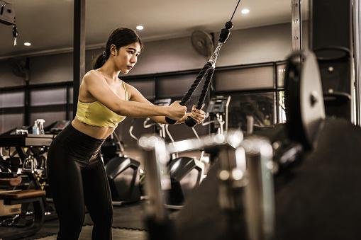 Diferentes características de treino podem levar a resultados similares em ganho de massa muscular