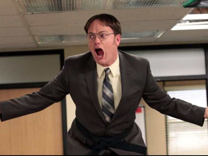 Rain Wilson estrela como Dwight Schrute por 9 temporadas.