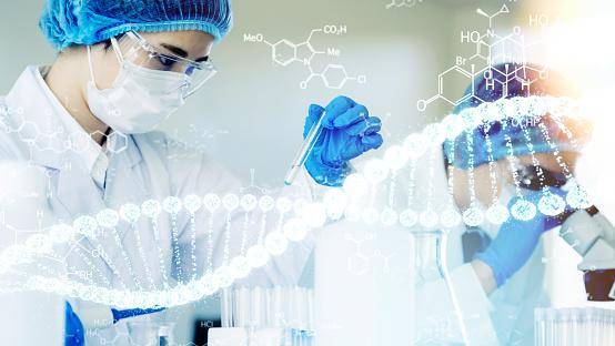 Os autores suprimiram células de moscas que têm genes correspondentes aos humanos.