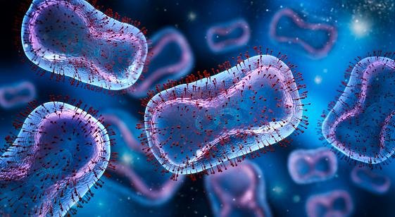 As bactérias multirresistentes não respondem ao tratamento com antibióticos convencionais, sendo difícil o controle, levando a agravos de saúde e morte.