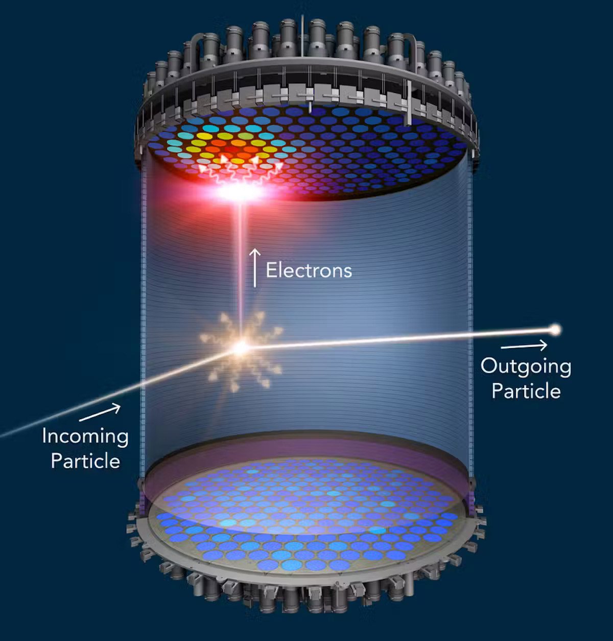 Partículas interagem com xenônio no LZ, liberando luz que é detectada por duas matrizes de detecção de luz na parte superior e inferior.