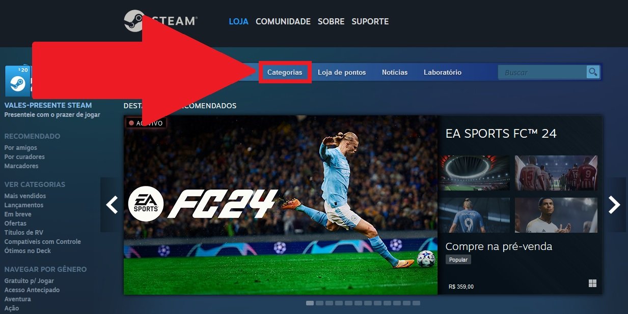 Steam Brasil - Steam Remote Play Together é oficialmente