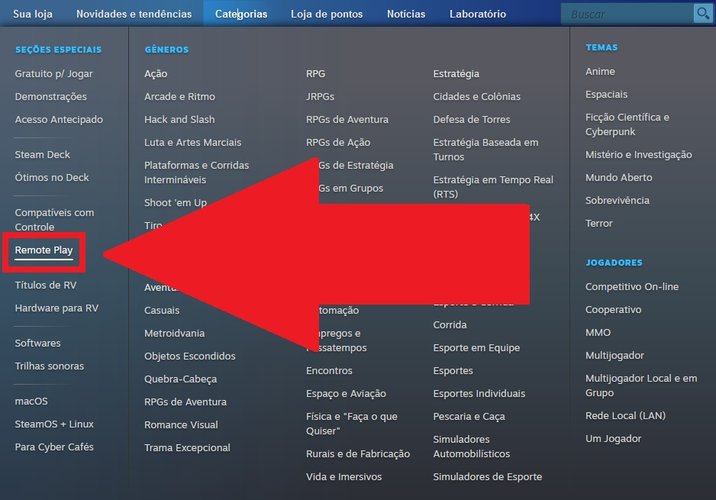 A opção "Remote Play" fica no lado esquerdo das opções.