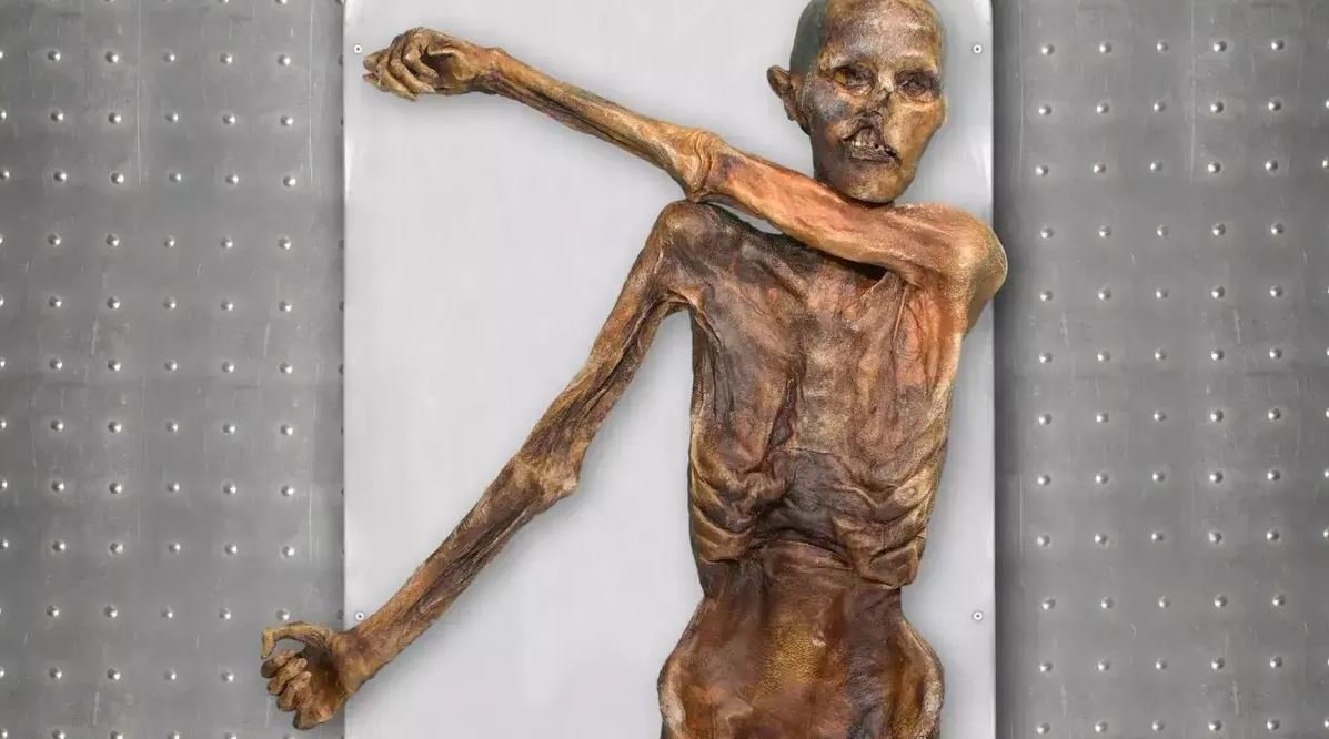 A partir de amostras de DNA extraídas da pélvis de Ötzi, os pesquisadores concluíram que o homem tinha pele mais escura, menos cabelo e vivia em uma tribo isolada.