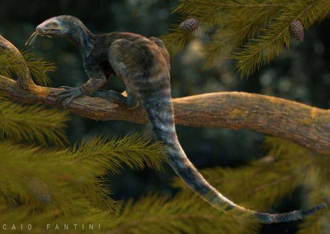 O nome Venetoraptor gassenae é uma homenagem ao local onde foram encontrados os fósseis, no distrito Vila Vêneto, e ao nome da professora e fundadora do Cappa, Valserina Maria Bulegon Gassen.