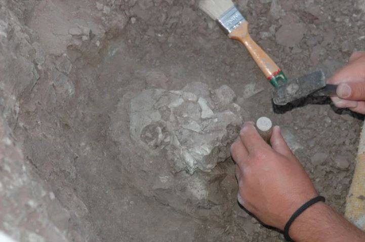 Os novos fósseis são considerados os mais bem preservados desta espécie de hominídeos.