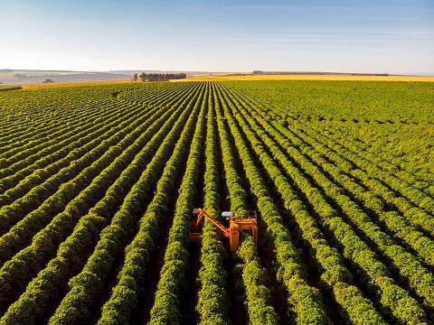 IA também pode ajudar na agricultura. (Fonte: GettyImages)