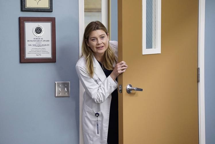 Meredith Grey deixou a narrativa do seriado médico durante a 19ª temporada.