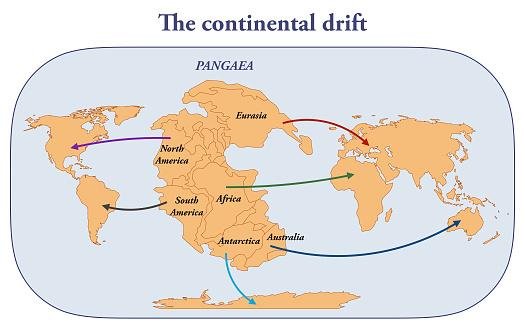A teoria da deriva continental foi desacreditada por muitos anos, mas os cientistas conseguiram encontrar respostas para as lacunas que faltavam.