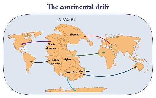 A teoria da deriva continental foi desacreditada por muitos anos, mas os cientistas conseguiram encontrar respostas para as lacunas que faltavam.
