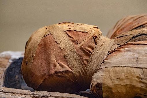Os cientistas ficaram intrigados em como o cadáver mumificado em tão pouco tempo e fora das condições necessárias; imagem ilustrativa.