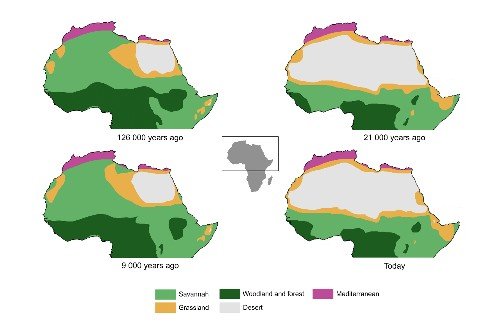 O estudo afirma que os períodos úmidos que ocorreram no norte da África podem ter ocasionado a dispersão de diferentes espécies de animais, inclusive dos primeiros humanos.