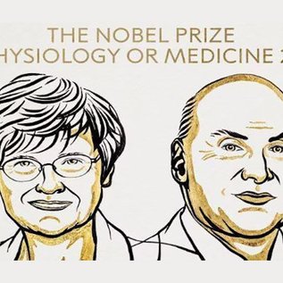 Imagem de Cientistas ganham Nobel de Medicina 2023 por vacina da covid-19