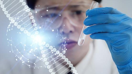 Os cientistas alteraram as bases nitrogenadas do mRNA in vitro