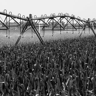 Imagem de O que são AgTechs: startups que usam tecnologia na produção agrícola