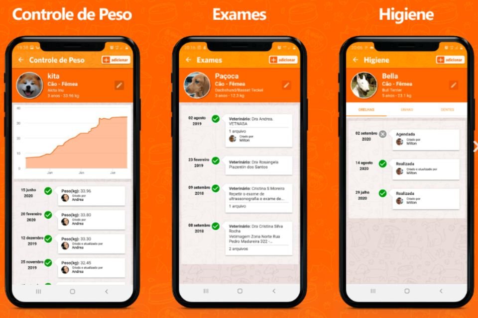 PetZillas está disponível para dispositivos Android e iOS.