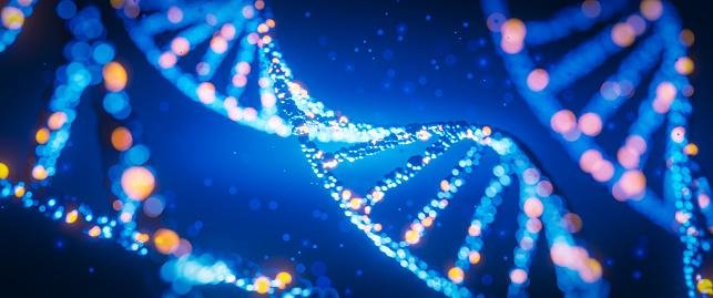 Fora as formas de vidas artificiais, o DNA e os peptídeos são utilizados pela natureza para criar 'fábricas de proteínas' em células.