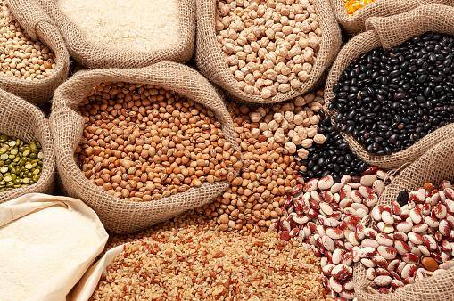 As mudanças na dieta favoreciam os alimentos cultivados de tipo doméstico.