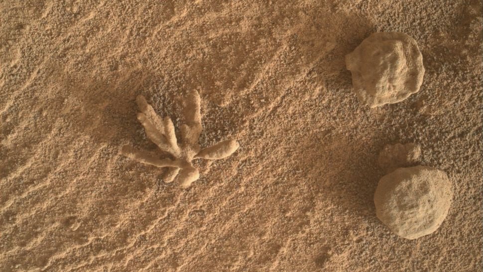 A 'flor de marte' foi fotografada com o instrumento Mars Hand Lens Imager (MAHLI) do rover Curiosity.