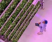Conheça as fazendas verticais, o futuro da agricultura mundial