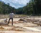 Como a tecnologia está ajudando a reflorestar o planeta Terra