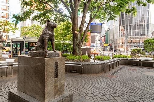 A estátua de Hachiko no Japão se tornou uma atração turística.