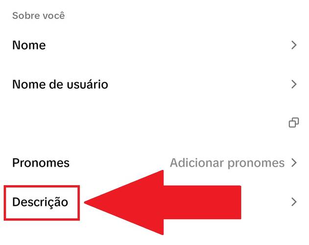 É possível adicionar um link na descrição do seu perfil no TikTok