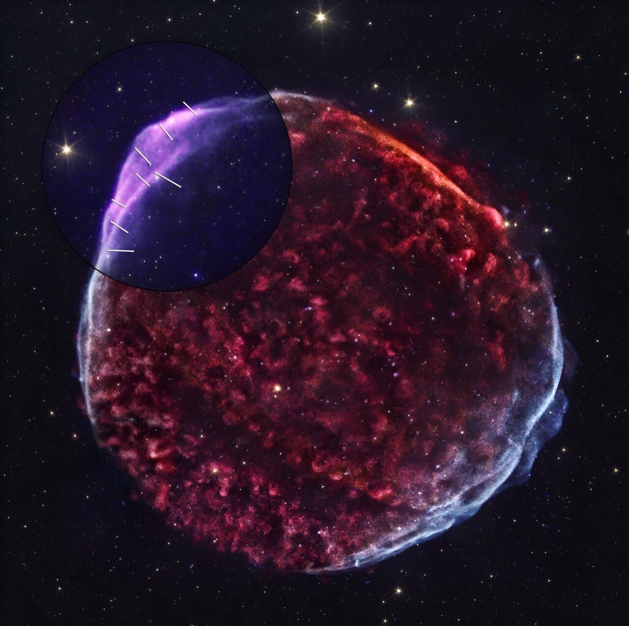 Esta imagem do remanescente de supernova SN 1006 combina dados do Imaging X-ray Polarimetry Explorer e do Chandra X-ray Observatory.