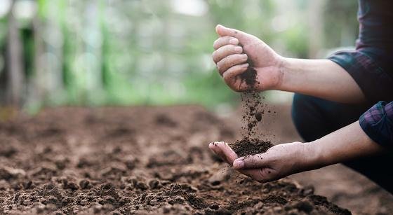 É considerada uma prática sustentável por não deixar uma pegada de carbono e pelo corpo não entrar em contato direto com o solo.