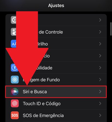 Procure pela opção "Siri e Busca" na lista