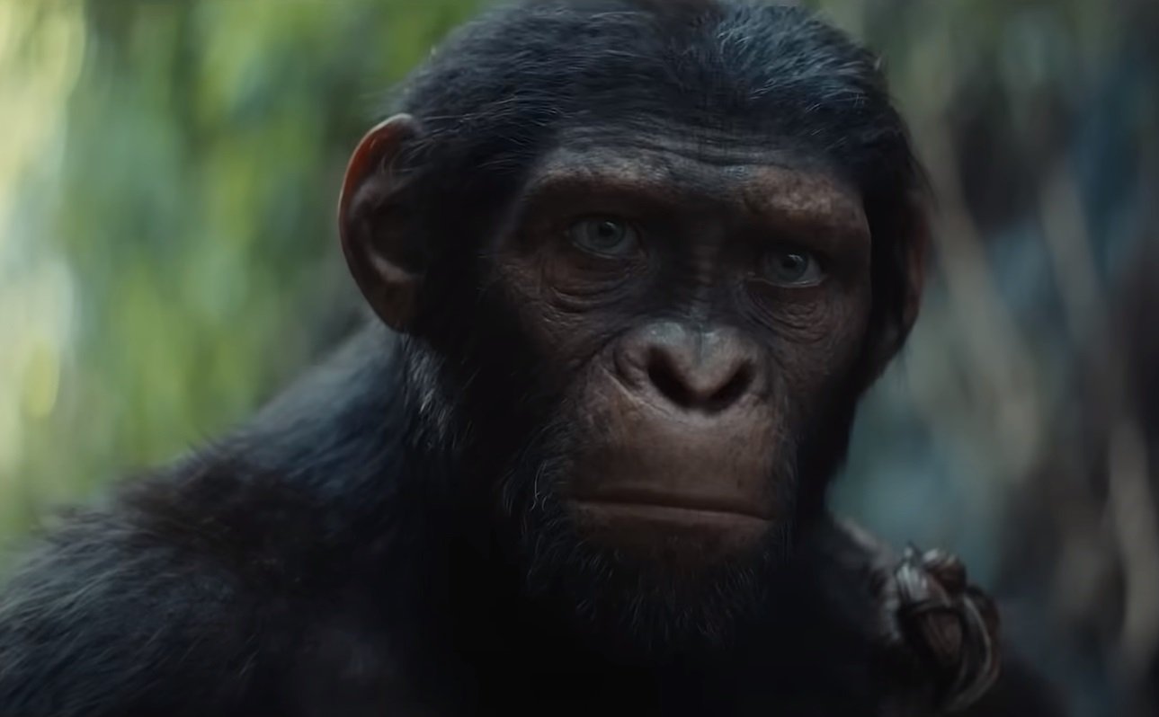Assista ao trailer DUBLADO e LEGENDADO de 'Planeta dos Macacos: O