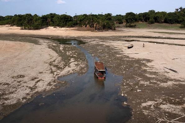A seca extrema ameaça a rica biodiversidade da Amazônia.