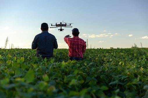 Drones agrícolas ajudam no mapeamento da área e em processos de pulverização.