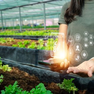 Imagem de Agronegócio + Tecnologia: quais são as tendências Agrotech para o futuro?