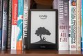 50 sugestões de eBooks em oferta na Amazon: tenha o que ler pagando menos de R$ 15